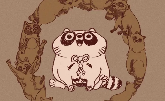 Raccoon Therapy : 20 cartes pour les jours difficiles