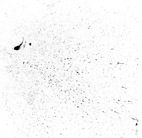 Dessin, avril 2008