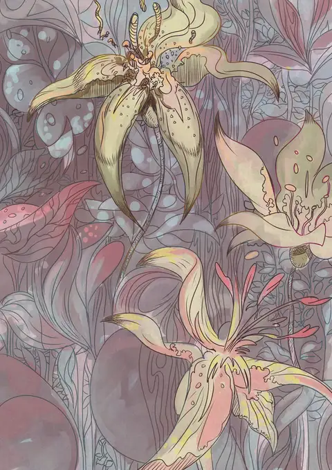 Dessin, mai 2014